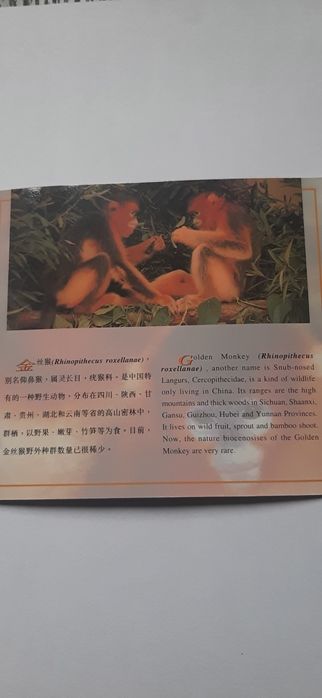 Złota Małpa 5 yuan jedyna taka na OLX