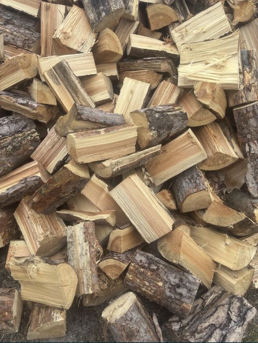Drewno opałowe sosna