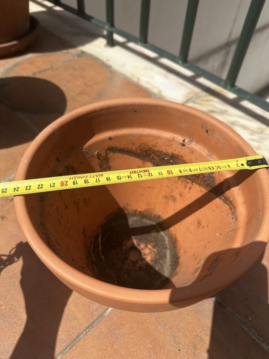 Vaso classico terracota