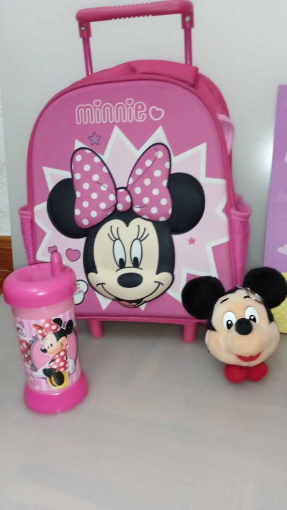 Vários Artigos da Minnie e do Mickey