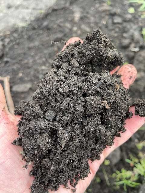 Torf, czarnoziem przesiany, ziemia ogrodowa -- Żnin