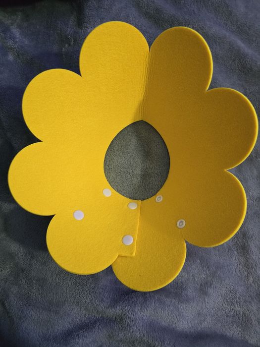 Kołnierz pooperacyjny dla psa , lub kota rozm M