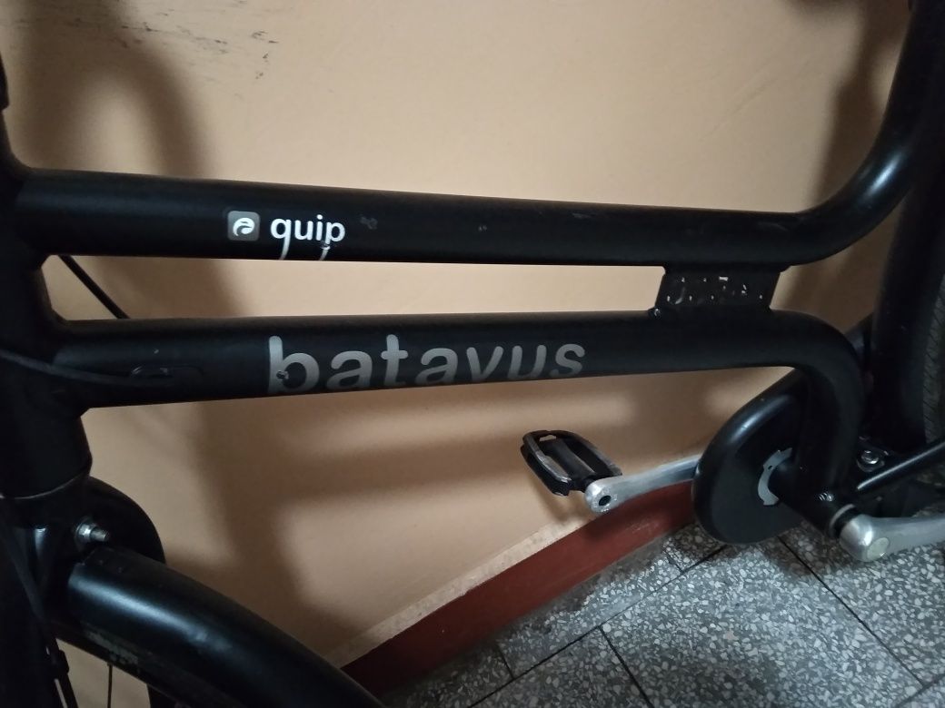 Rower batavus 28"