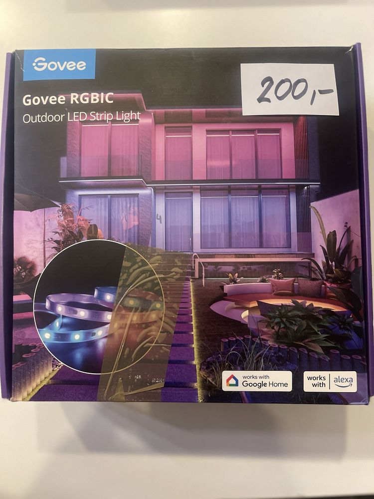 Govee RGBIC  led