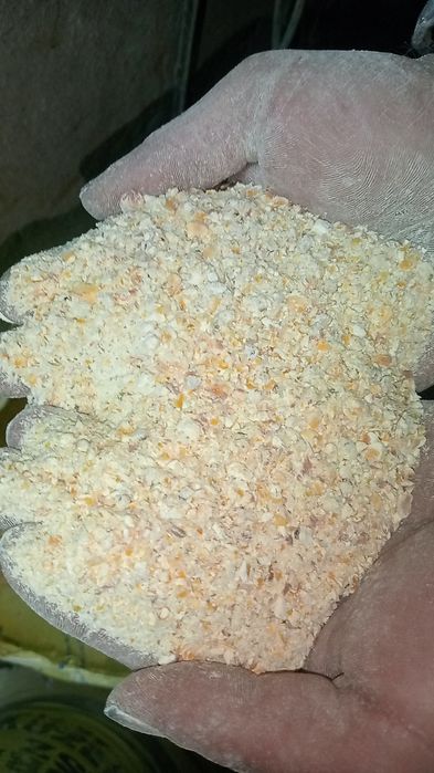 Kukurydza gruba śrutowana - worek 20kg