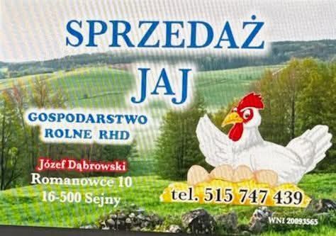 Jaja kurze wolny wybieg