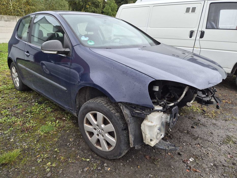 Volkswagen Golf V 1.9 TDI BLS, rok 2007, kolor (A5G D3).