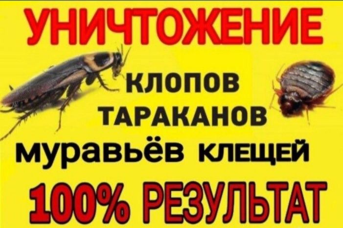 уничтожение тараканов клопов блох знищення тарганiв клопiв
