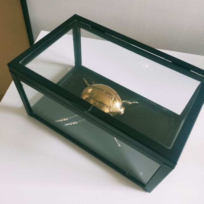 Dekoracja szklana gablotka