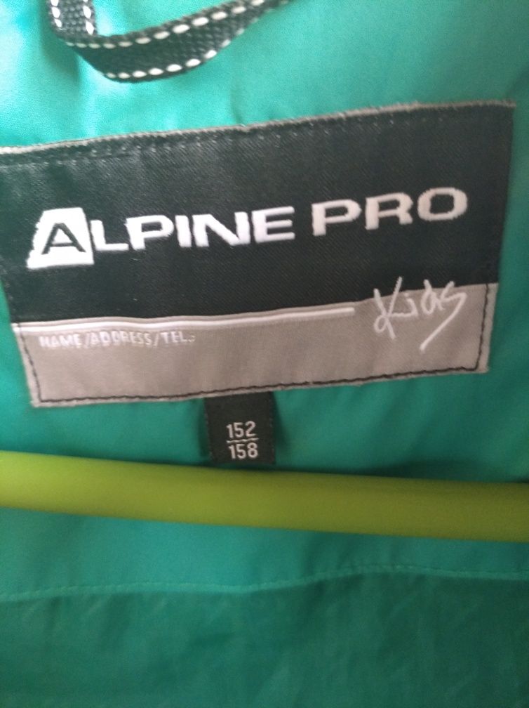 Подростковая жилетка Alpine Pro