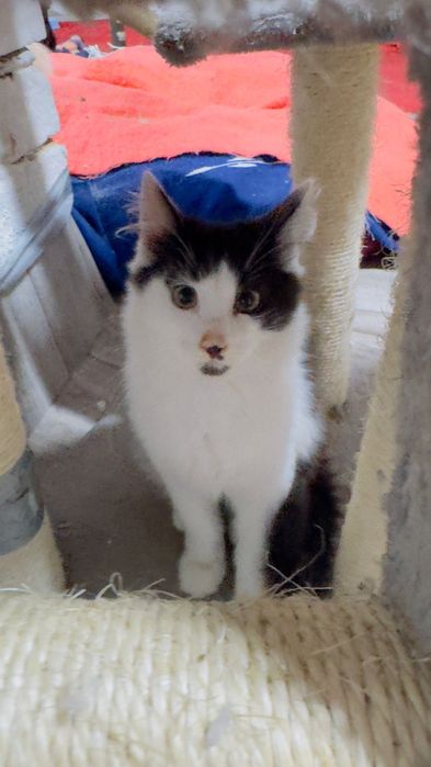 Хлопчик шукає дім