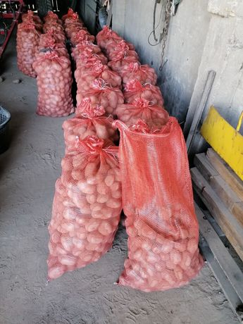 Kartofle ziemniaki Belarossa  2zl za kg z dostawą pod dom