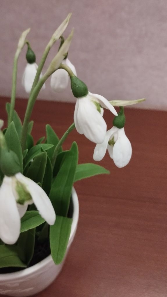 Продаю подснежники   из холодного фарфора
