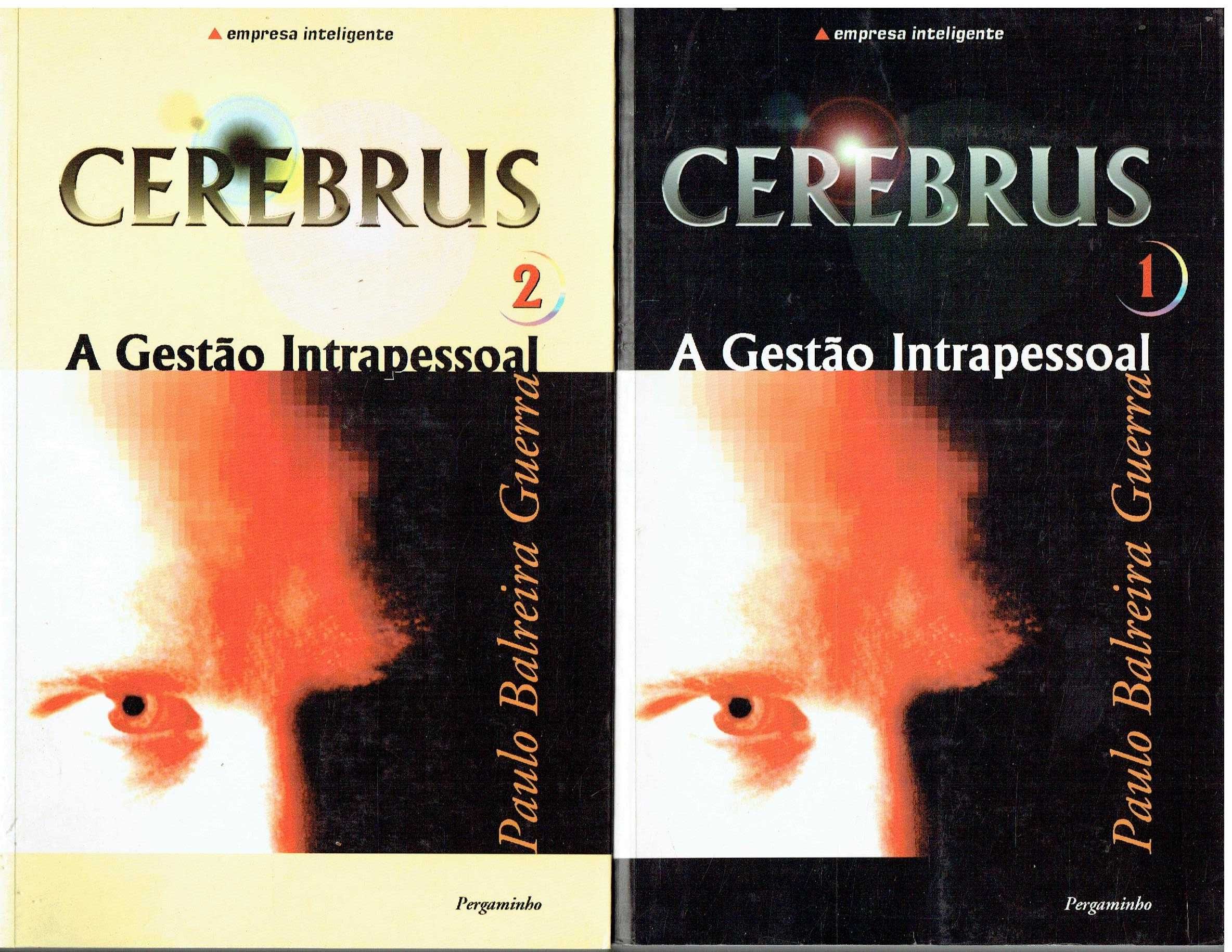 12016

Cerebrus - 2 Vols
A Gestão Intrapessoal