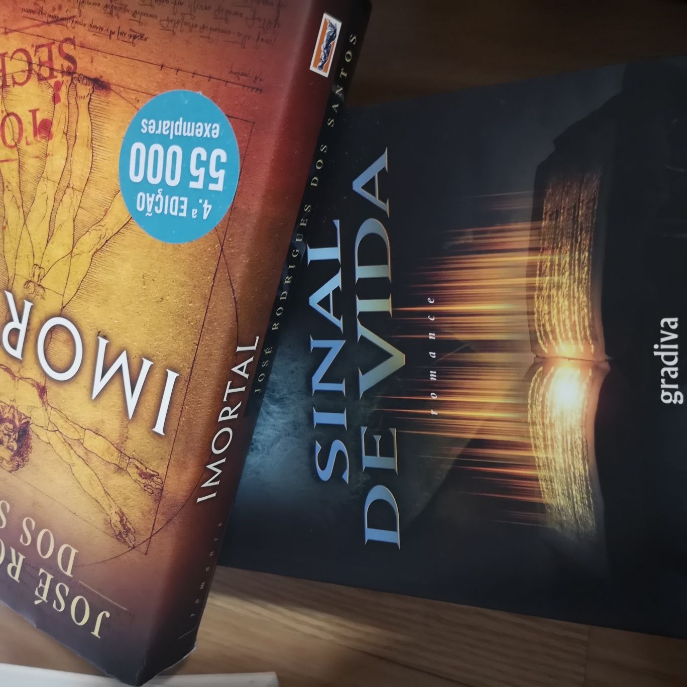 Livros diversos Dan Brown, Daniel Silva, etc