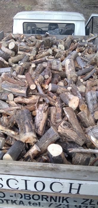 Drzewo opałowe, sosna.