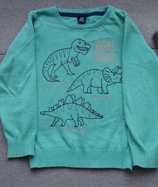 Sweterek dinozaury r110