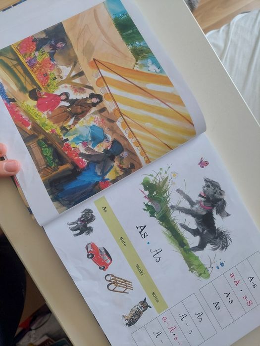 Elementarz – Marian Falski, ilustracje Janusz Grabiański (WSiP) – jak