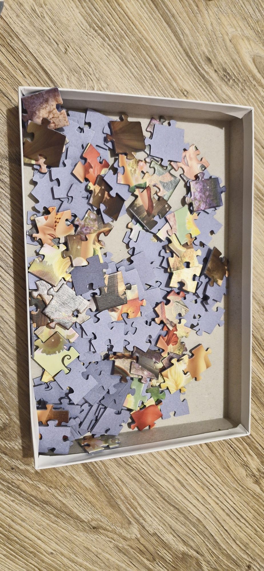 Puzzle 160 elementów