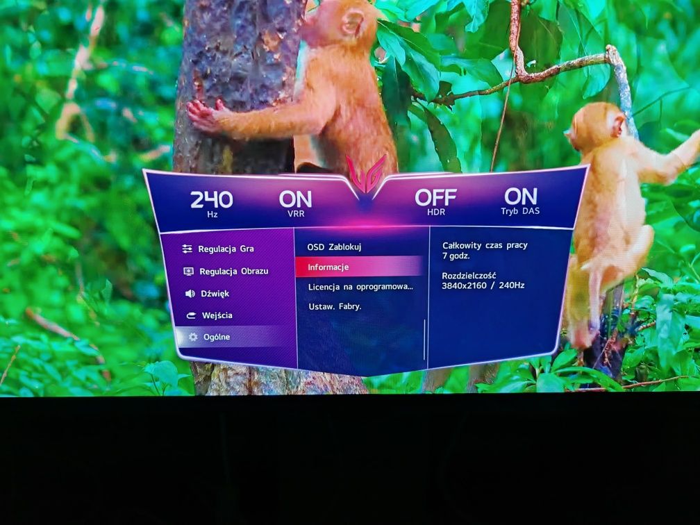 Monitor 32 cale 240 Hz OLED LG 32Gs95UV-W