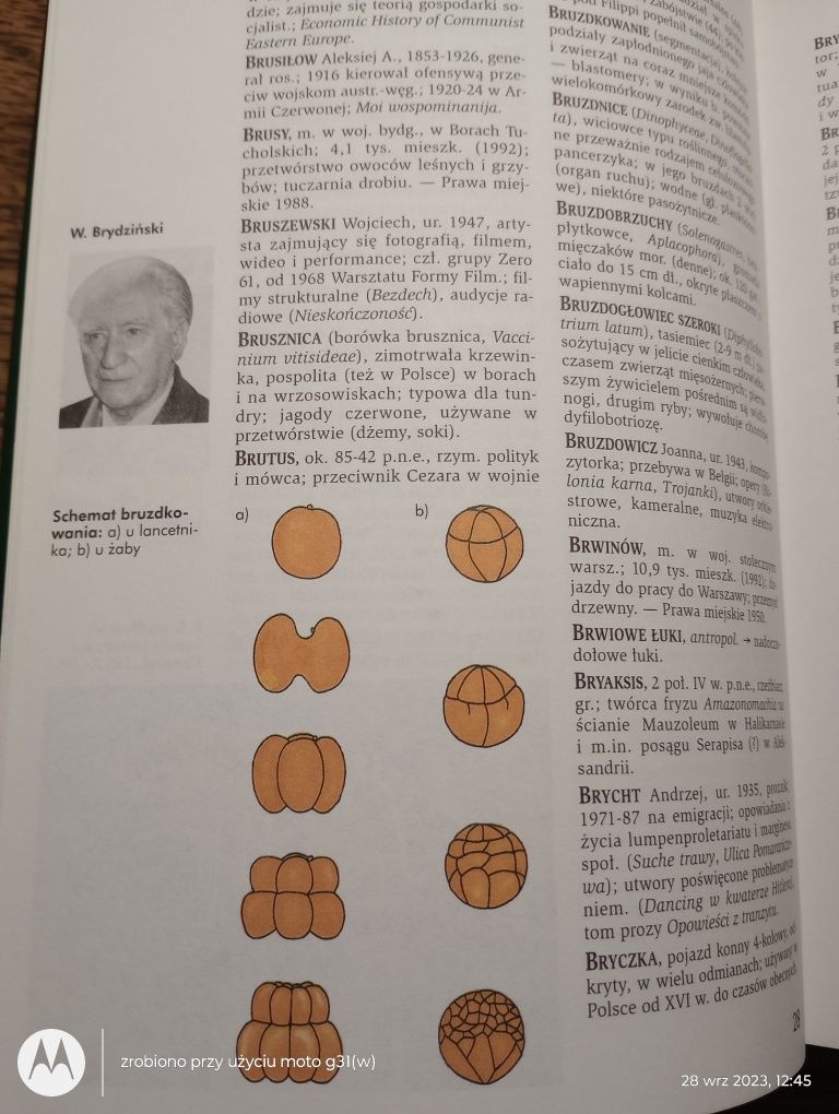 Encyklopedia popularna PWN. 10 tomów.
