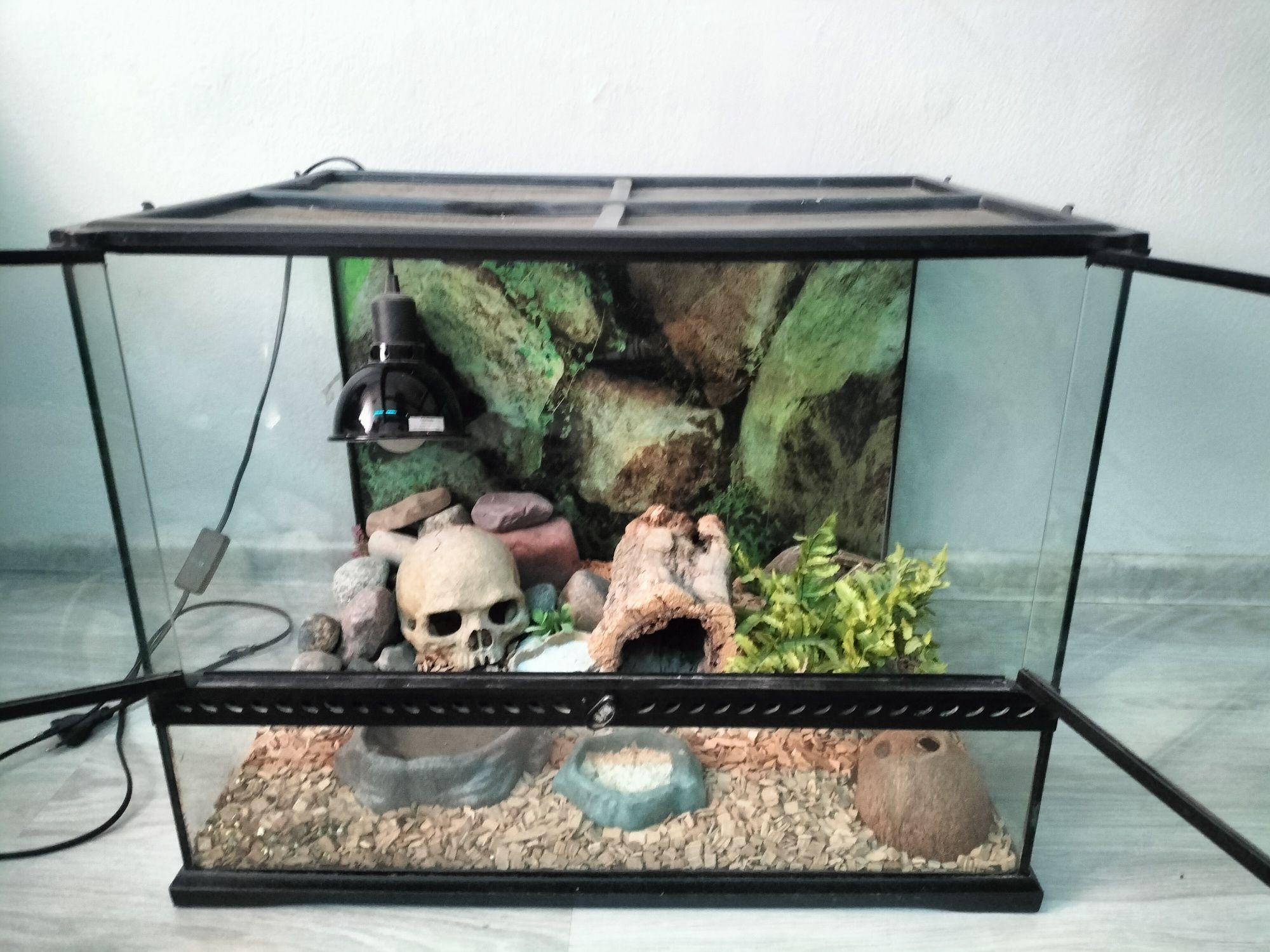 Terrarium  z gekonem