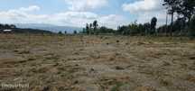 Terreno Industrial Marco de Canaveses
