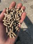 Pellet Sosnowo-bukowy