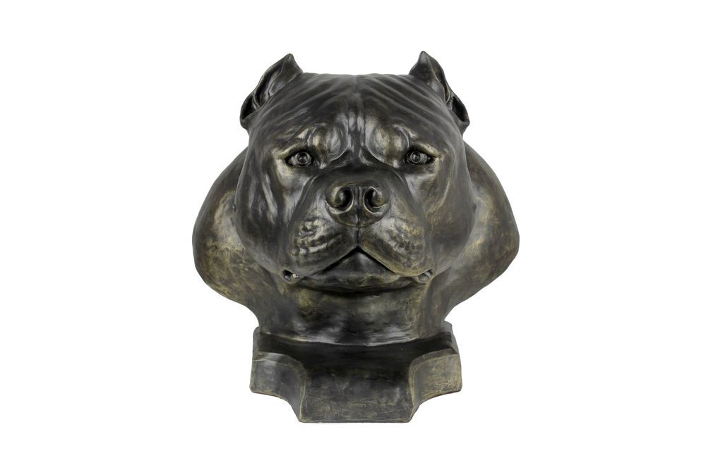 American Bully II duża głowa z żywicy Art-Dog