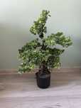 Szcztuczne drzewko Bonsai 68 cm