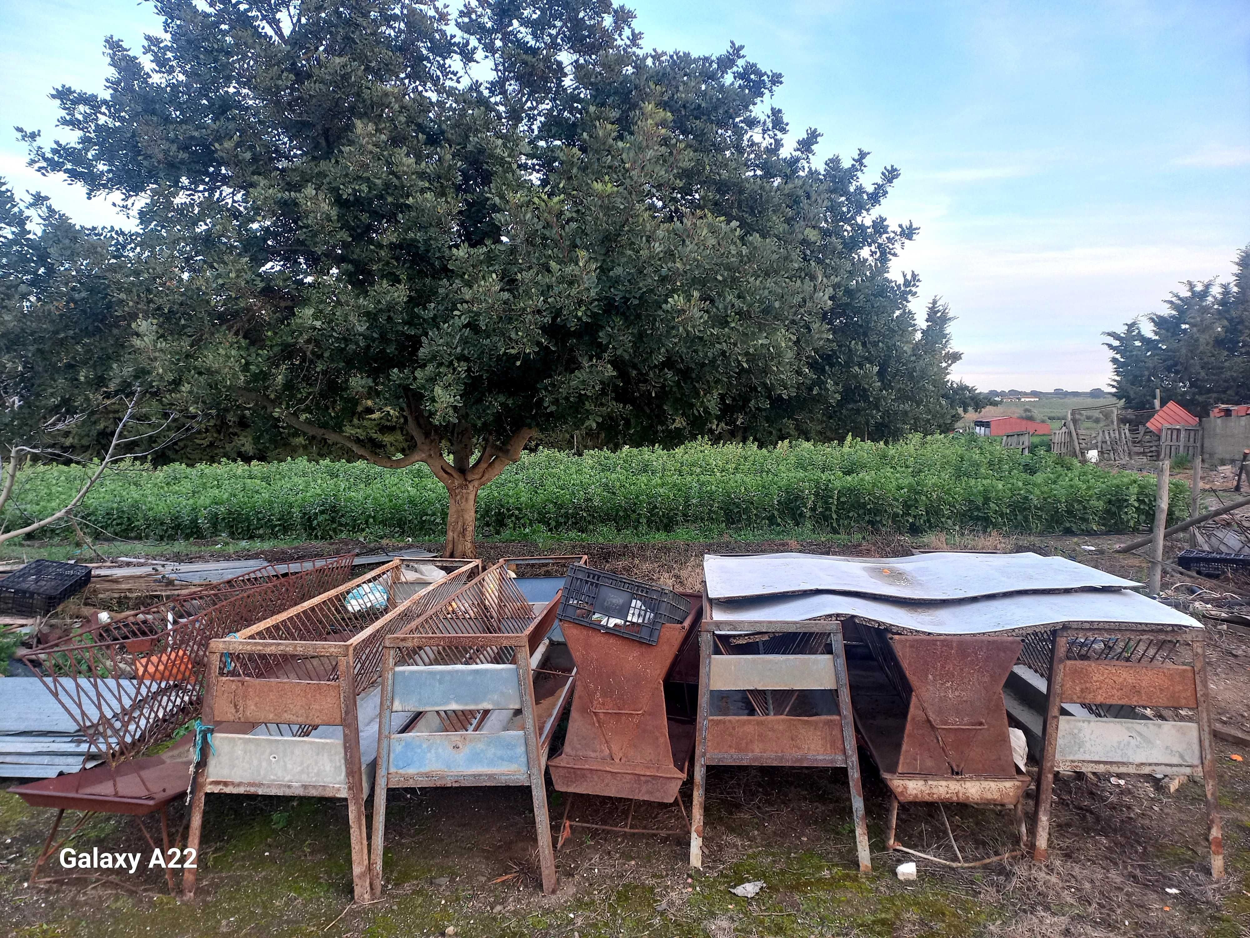 Manjedouras , Bebedouro e Cancelas de Ovelha/Cabras