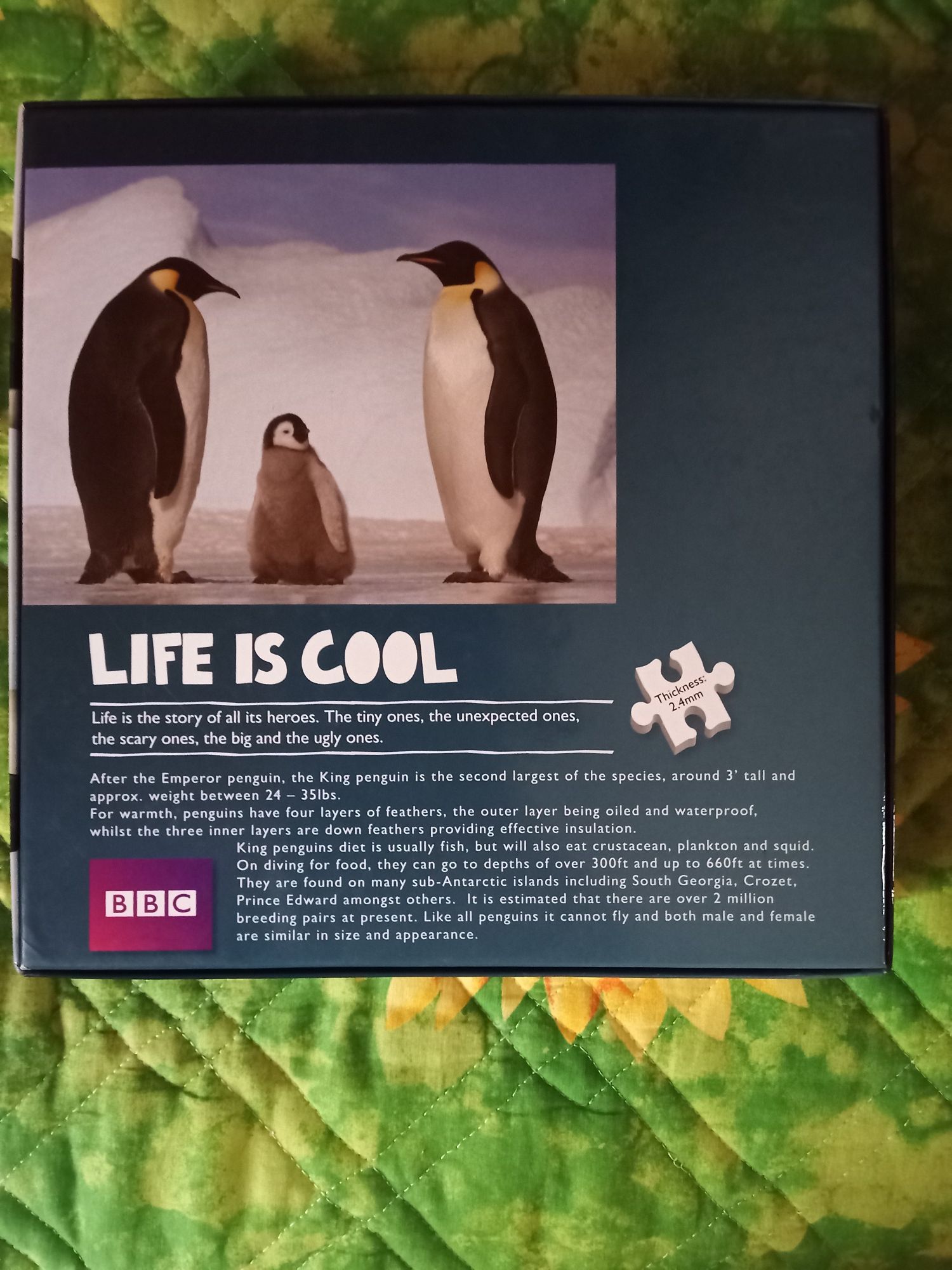 Puzzle bbc earth pingwiny 500 1 brak