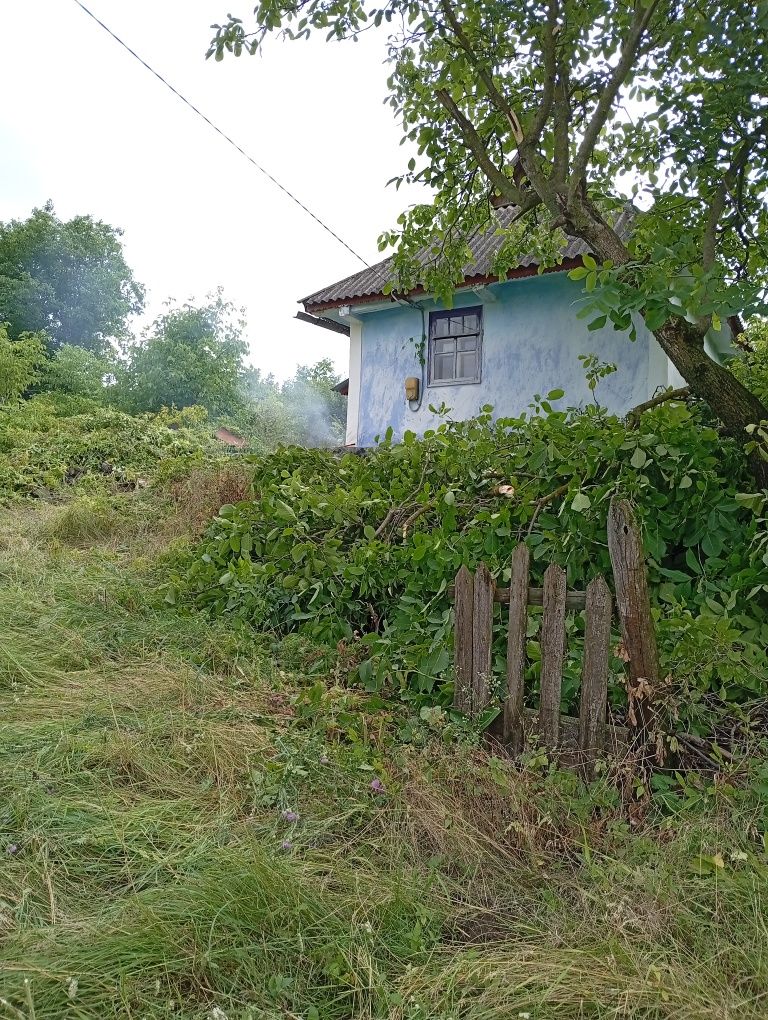 Продається будинок в селі Озаринці.