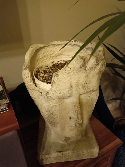 Donica doniczka rzymska grecka głowa