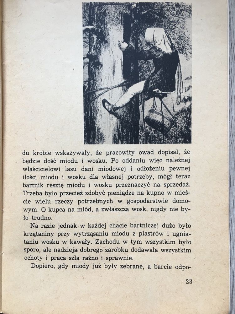 O braciach i bartnikach w dawnej Polsce pszczelarstwo 1964