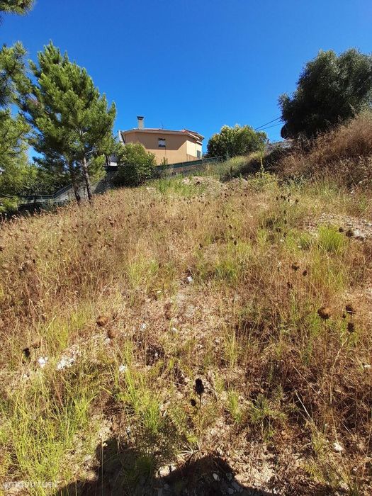 Lote de terreno com 594m , na Urbanização da Quintinha, Cotovia, Sesim