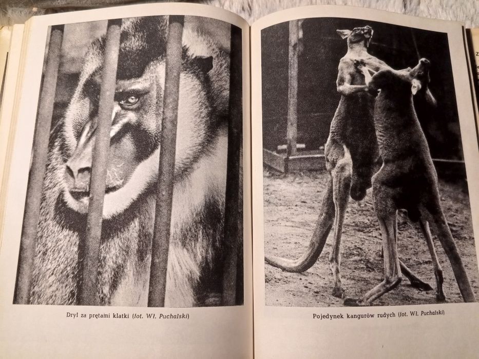 Ogrody zoologiczne - wczoraj, dziś, jutro - Karol Łukaszewicz