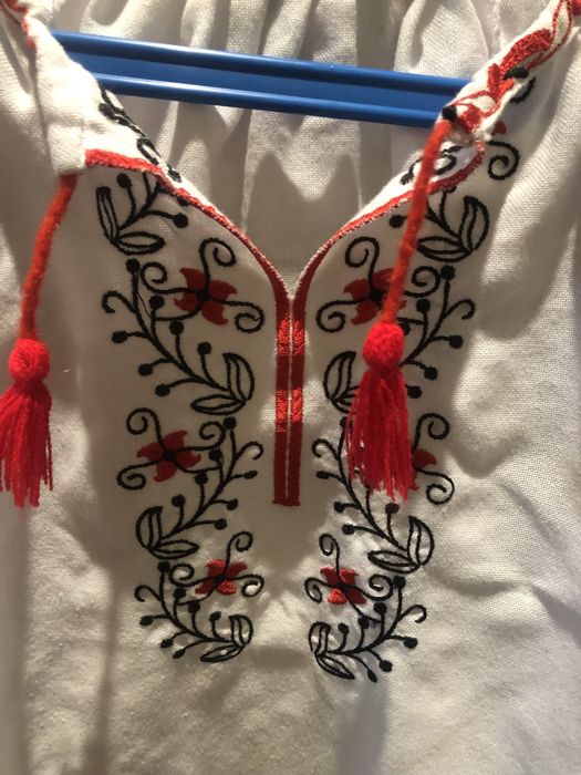 Вишиванка з фатіновими рукавами