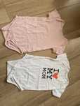 Body krotki rekaw zestaw 98 fox&bunny