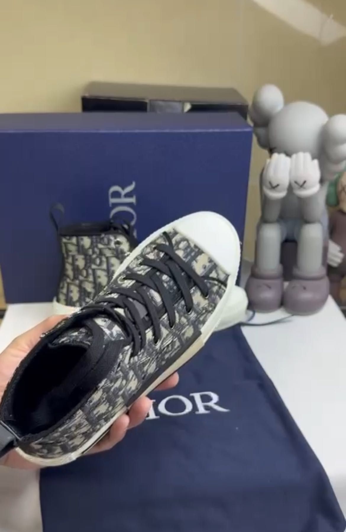 Dior B23 high top