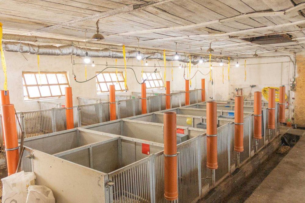 Продаж ферми з підсобними приміщеннями