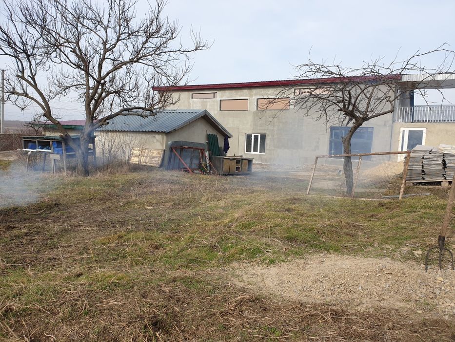 Продам дом,участок,фермерское хозяйство