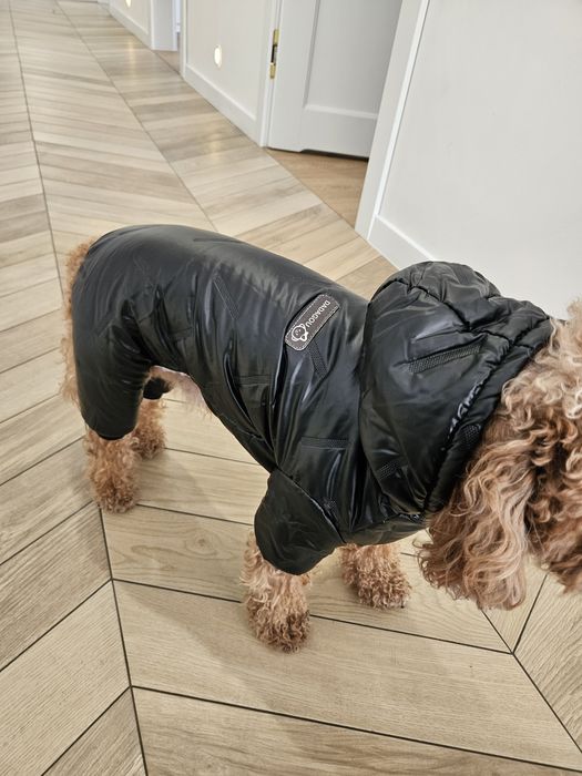 Kombinezon dla psa / zimowy / wodoodporny / york pudel maltańczyk