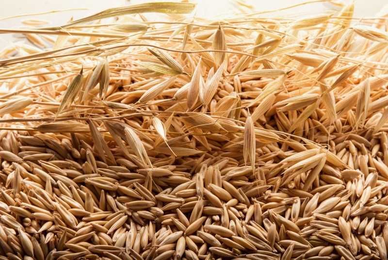 Sprzedam owies zimowy młynkowany