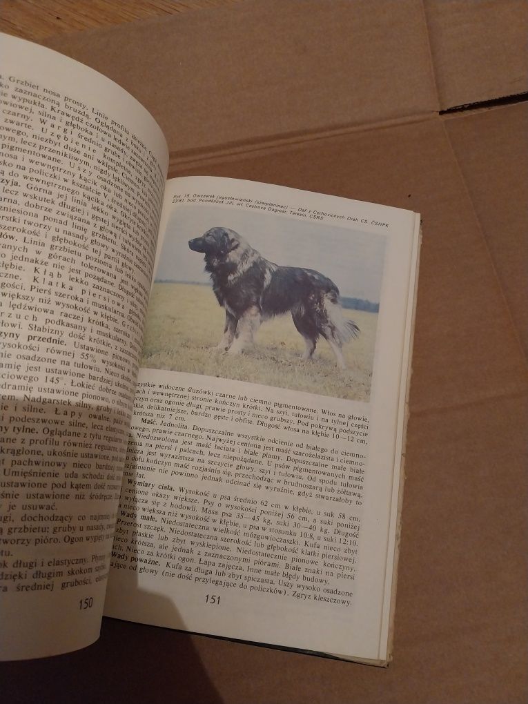 Psy rasy i wychowanie książka 1989rok