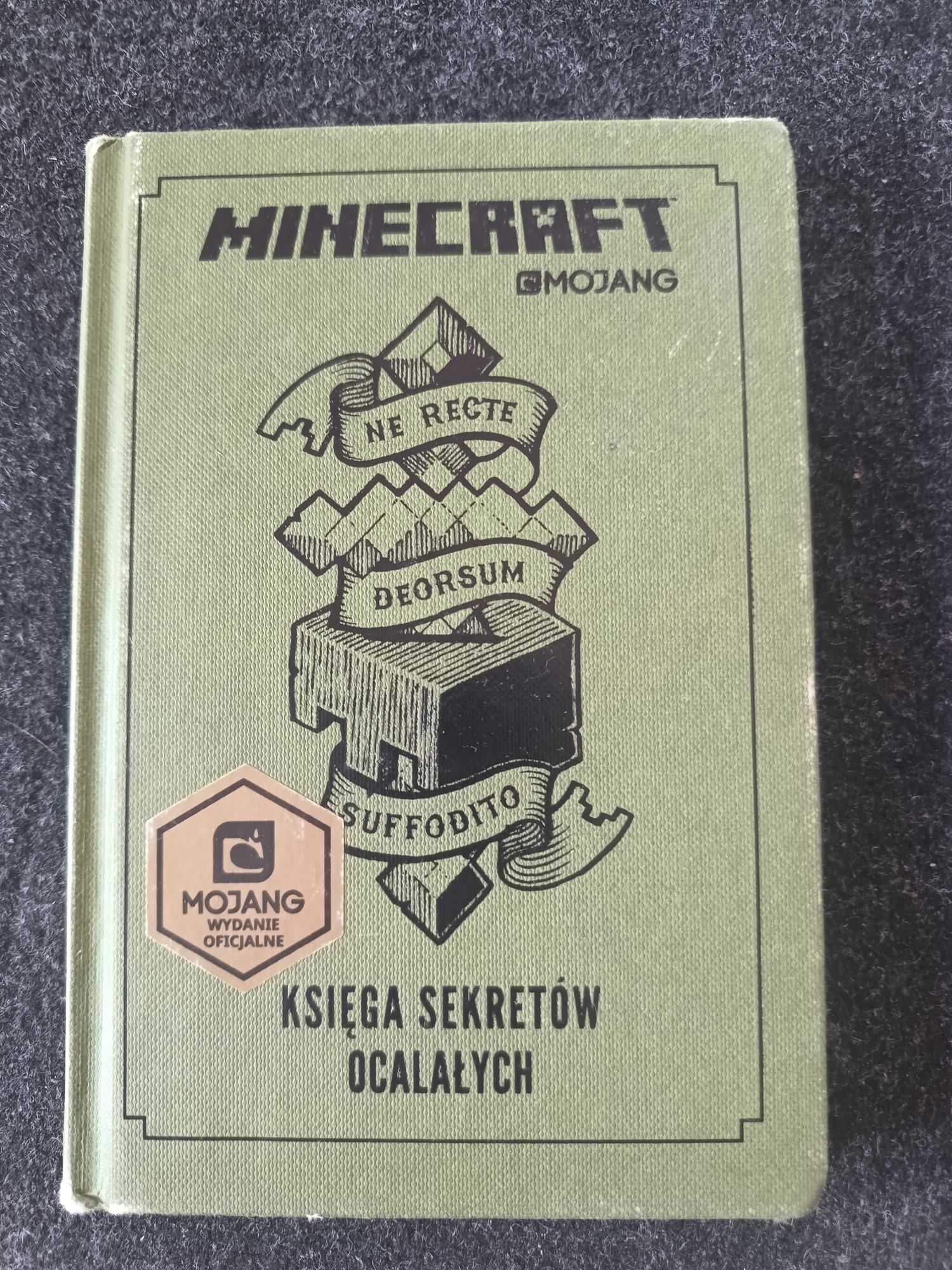 Minecraft książka przygodowa
