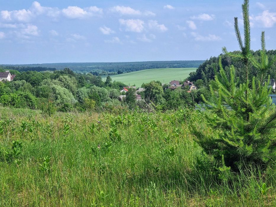 Продаж ділянки 12 сот Музичі / біля лісу та озера