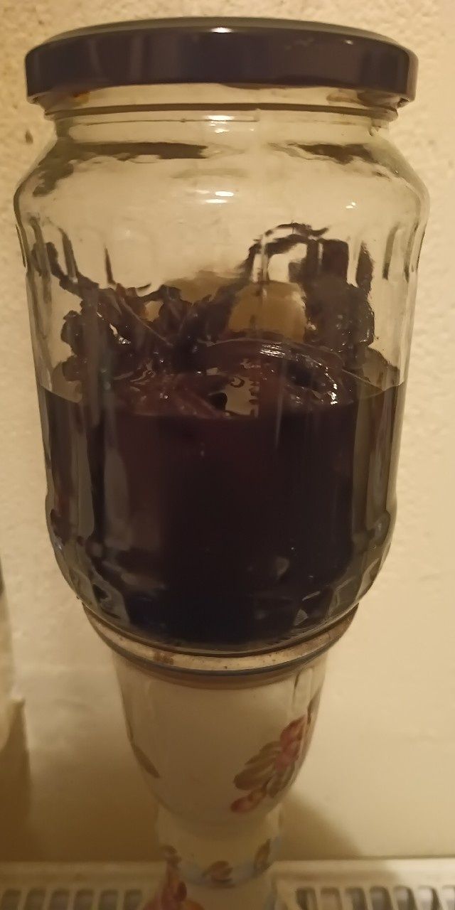 Korzeniówka pospolita 100 ml wyciąg % z kroplomierzem