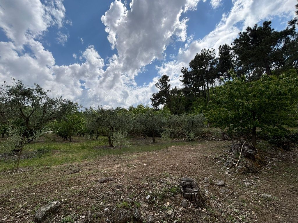 Vende se terreno agrícola