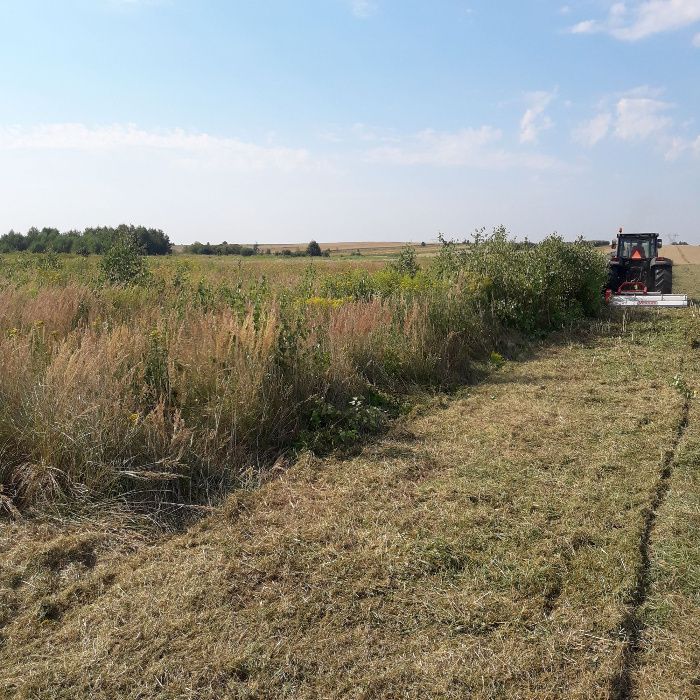 koszenie wysokiej trawy łąk nieużytków kosiarką bijakową mulczer